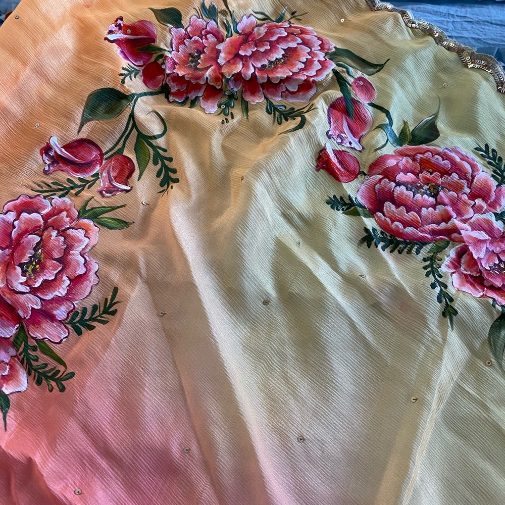 Indian/ Pakistani shiffon painted Dupatta